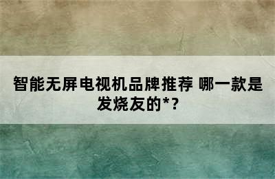 智能无屏电视机品牌推荐 哪一款是发烧友的*？